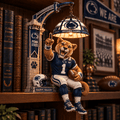 Premium PSNL Bookshelf Figurines Lamp PDL